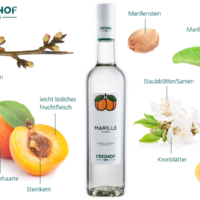 FREIHOF 1885 APRICOT SCHNAPS